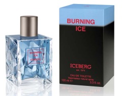 Iceberg Burning Ice
